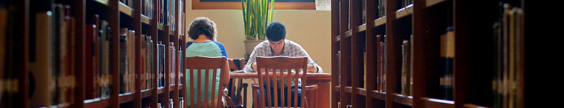 Students studying at table in library